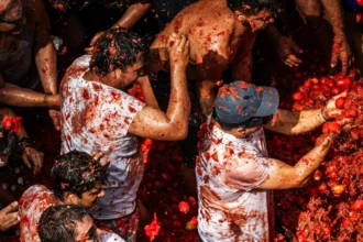 tomatina web 69 e1786422451892