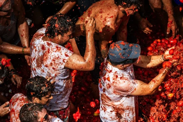 tomatina web 69 e1786422451892