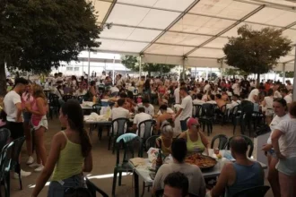 Festa de les Paelles de la Fira de Xàtiva.