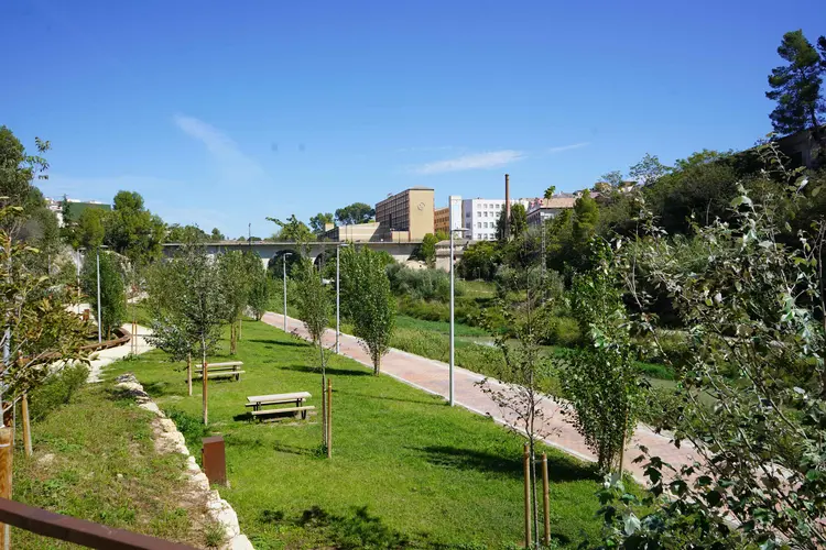 Parc inundable de les Mamàs Belgues d'Ontinyent.