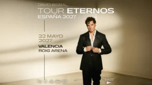 Cartel Concierto David Bisbal Roig Arena