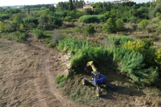 Trabajos en el Carraixet a su paso por Bétera.