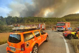 Incendio en Tuéjar.