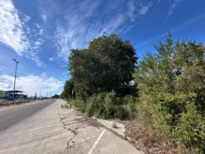 Xàtiva licita per 26.600 euros el desbrossament de la zona verda del centre comercial Plaza Mayor 2 Desbrossament Plaza Mayor
