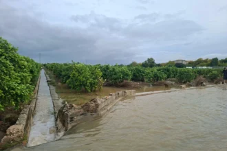 Campos inundados durante la DANA.