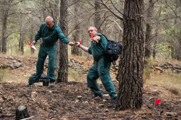 La Guardia Civil investiga el origen del incendio.