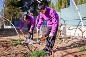 Jovenes futUR