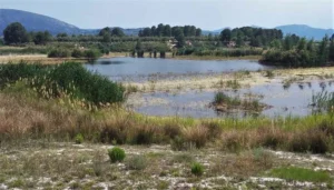 albufera gaianes