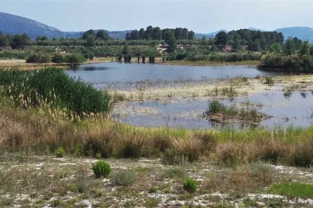 Albufera de Gaianes.