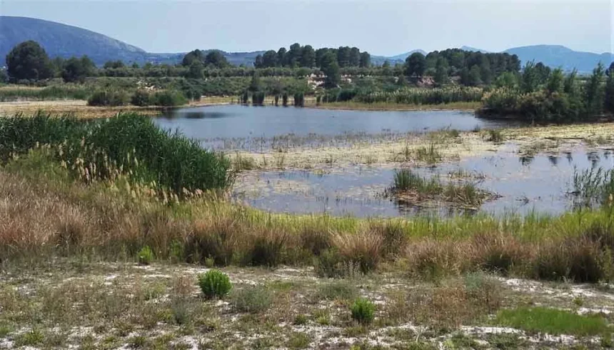 Albufera de Gaianes.