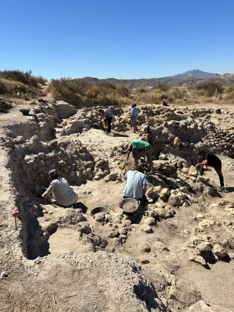 Estructuras excavadas en el yacimiento de El Tabayá, en Aspe, con las montañas al fondo