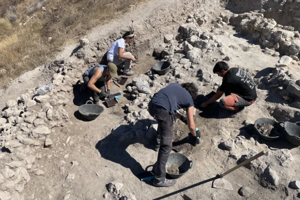 Arqueólogos trabajando en una zona de excavación del yacimiento de El Tabayá, en Aspe