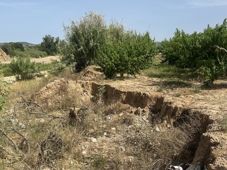 Terreny esvorancat en una parcel·la agrícola amb arbres fruiters