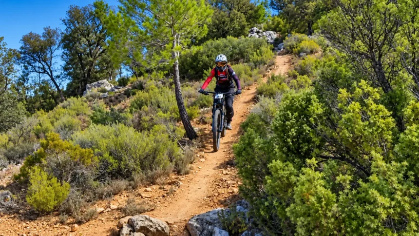 Ciclista de enduro desciende por un sendero de montaña rodeado de vegetación