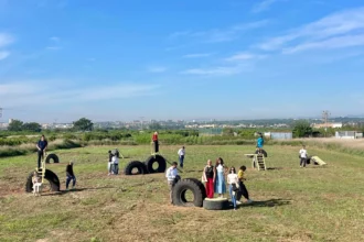 Instalación artística de Miradors de l'Horta con neumáticos y escaleras en un campo de l'Horta