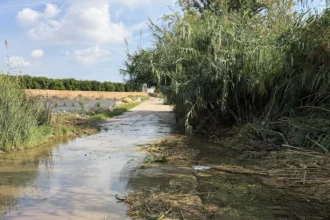 Camino cubierto de agua junto a cañas y vegetación densa que obstruyen el cauce del barranco en Bétera