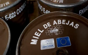 Las importaciones de miel de Mercosur casi se duplican en tres meses y desbordan el primer contingente sin aranceles 4 miel mercosur bidones