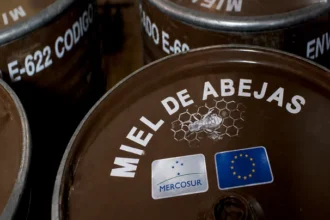 Bidones de miel con el distintivo de Mercosur y de la Unión Europea