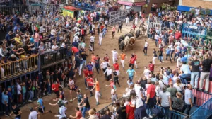 onda encierros fira d onda