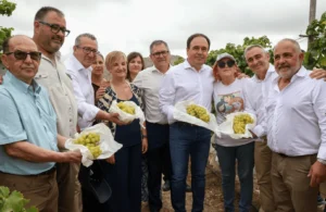 raim embossat vinalopo agost