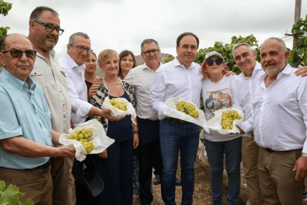 Autoritats i productors amb raïms embossats en una parcel·la de la DOP a Agost