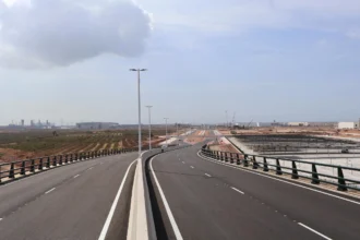 Vial amb dues calçades i fanals en una àrea industrial de Sagunt, amb parcel·les i naus al fons