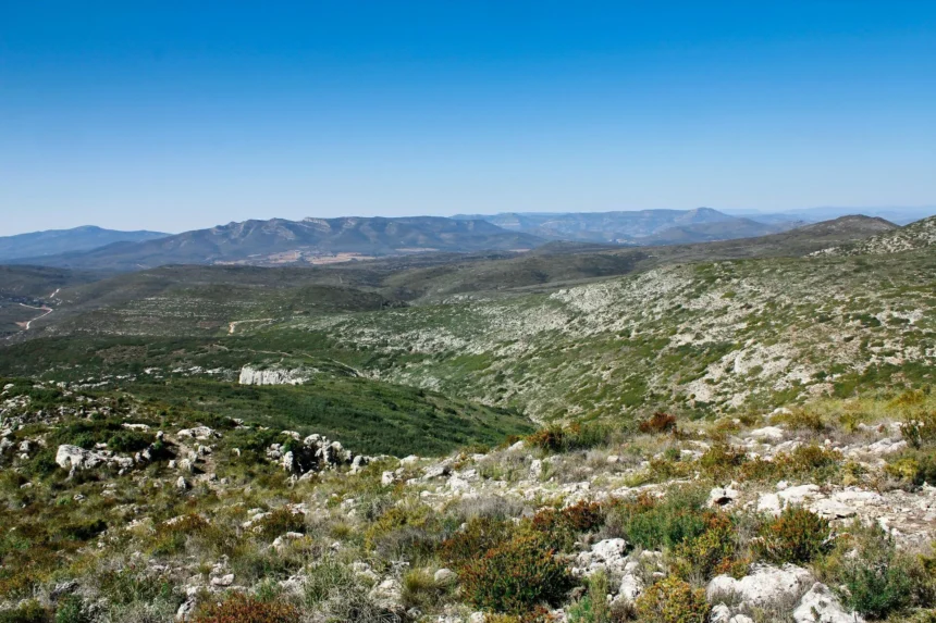 Vista panorámica de la Sierra de Chiva, con monte bajo en primer plano y montañas al fondo