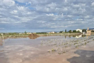 Camps negats d'aigua després del temporal