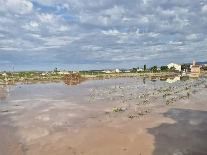 Camps negats d'aigua després del temporal