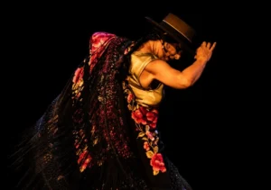 torrent festival flamenco auditori